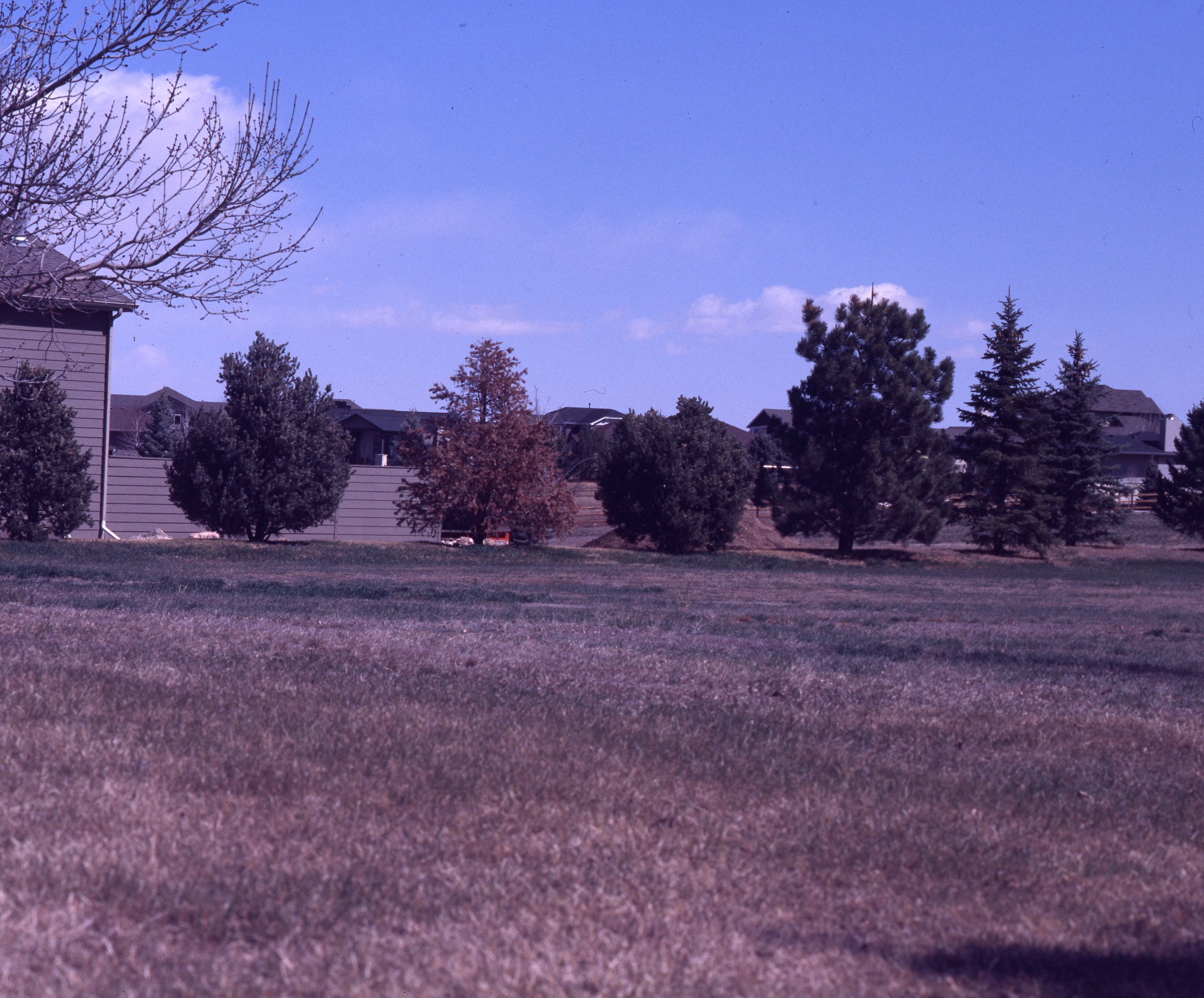 old_E6006.jpg