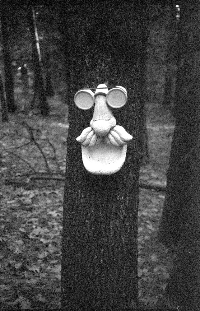 Olympus RC 35 283 expired Delta 3200 at 1600 face.jpg