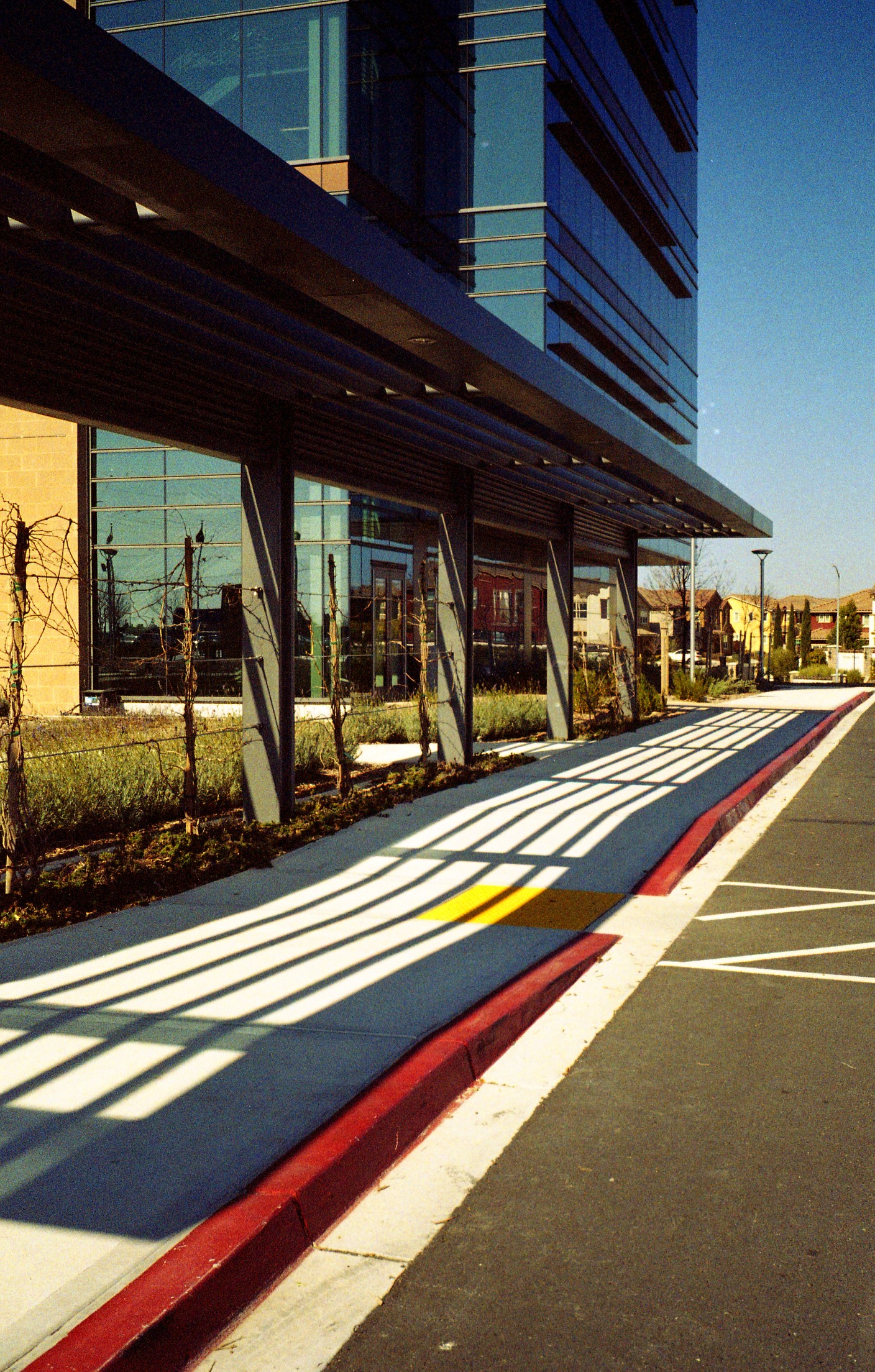 Olympus Trip 35 Kodak Gold 200 17s.jpg