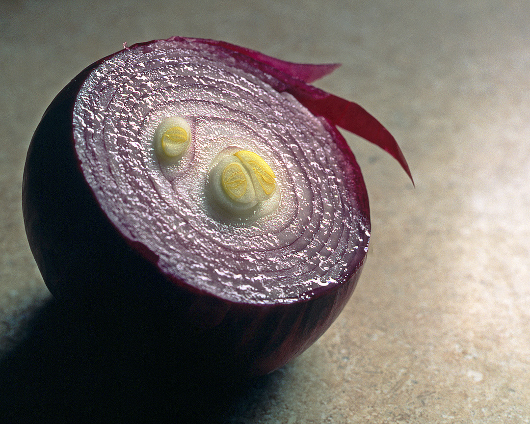 Onion .jpg