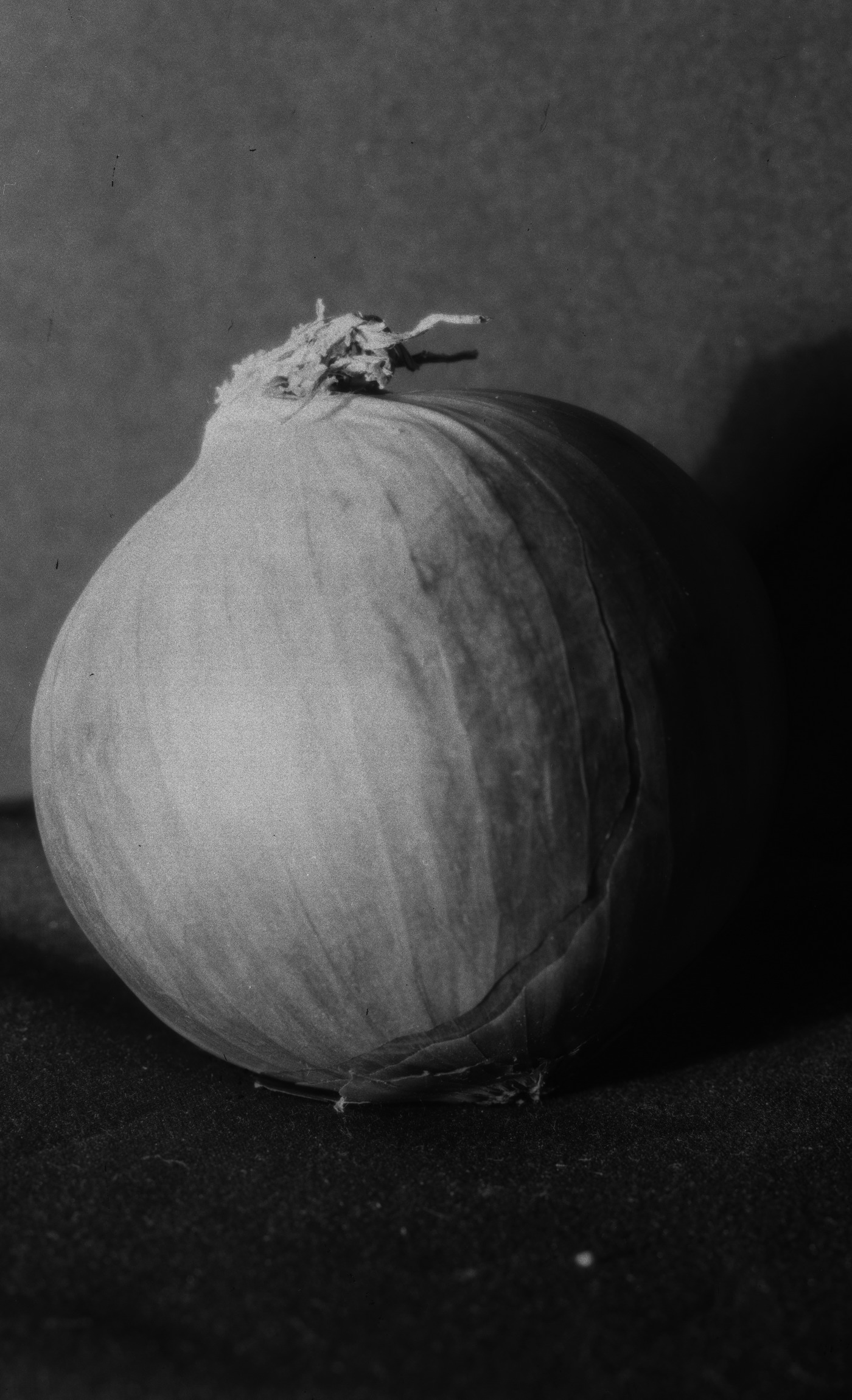 onion.jpg