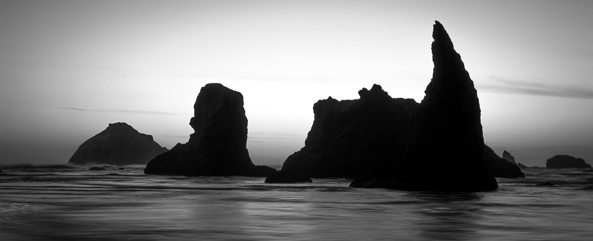 Oregon Coast Silhoutte.jpg