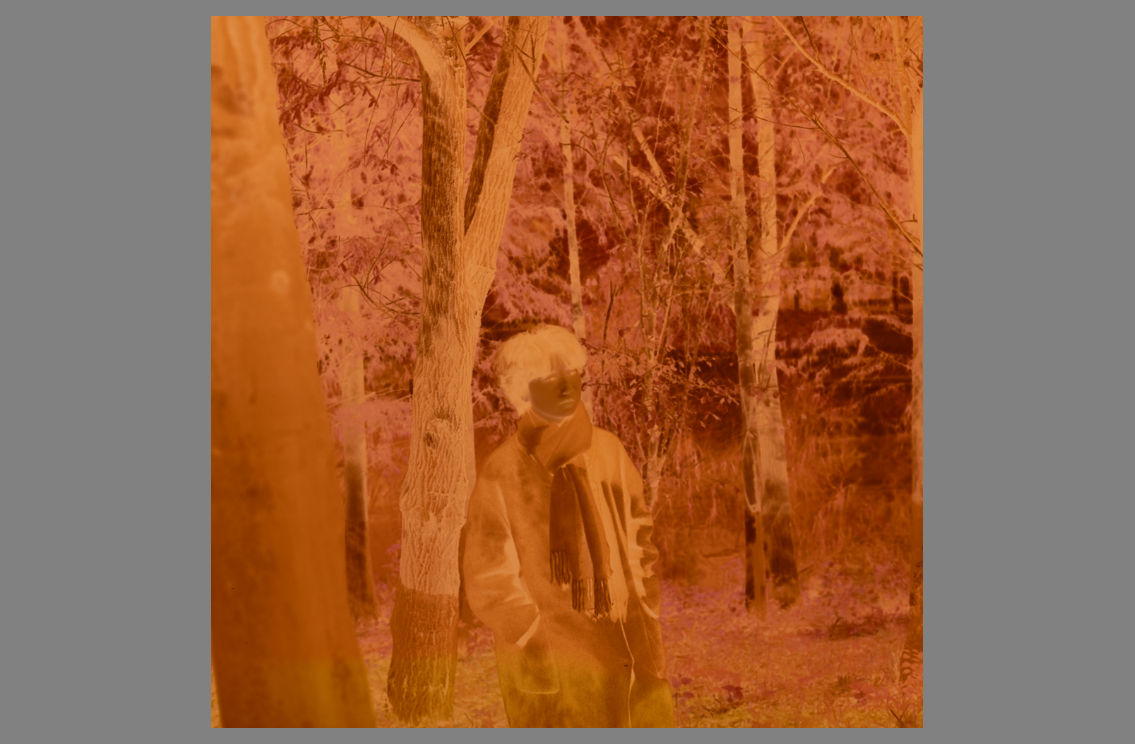 original negative.png original negative.png