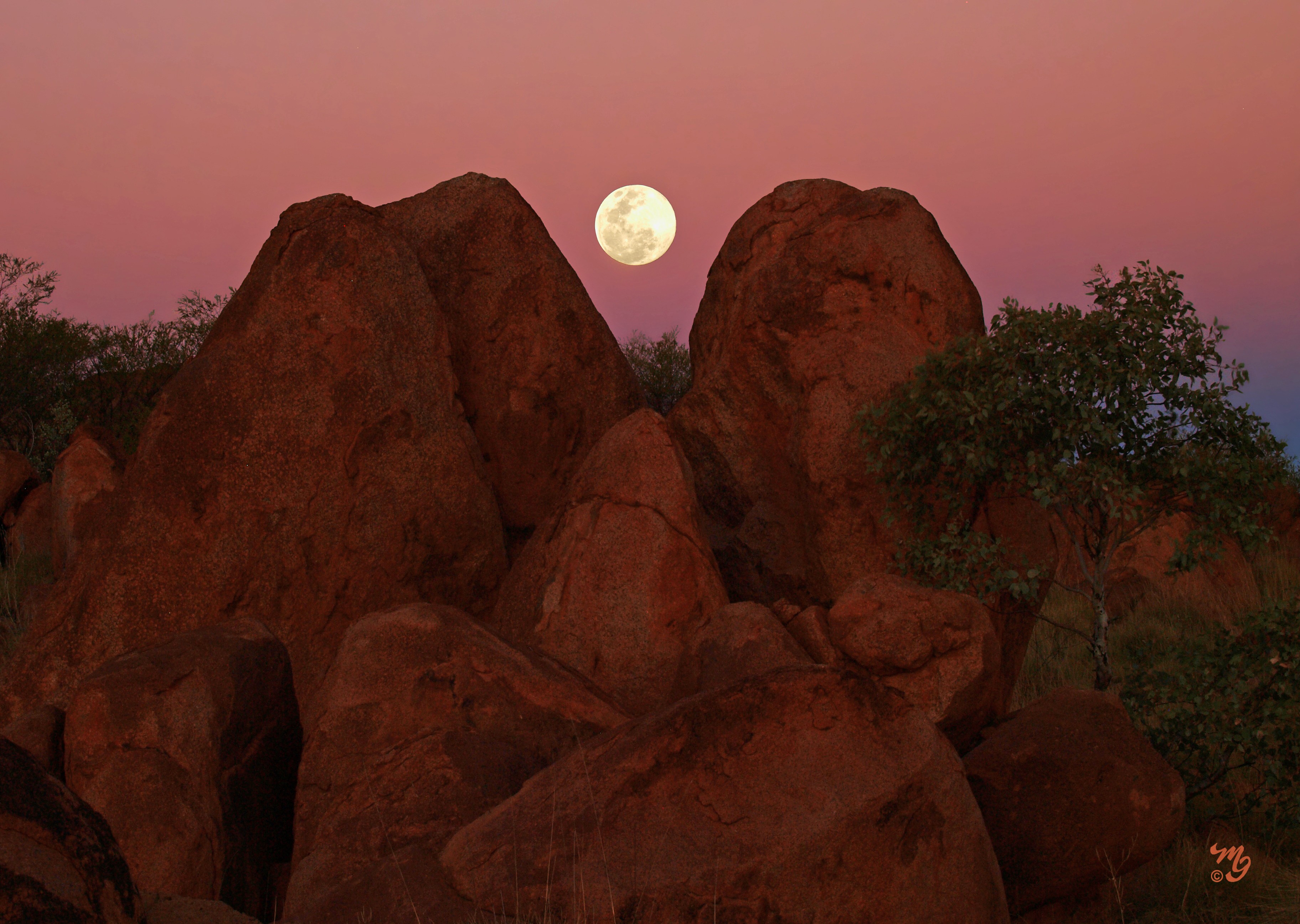 Outback Moonrise.jpeg