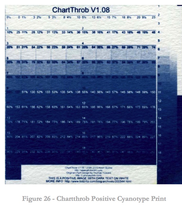 overexposed cyanotype.jpg