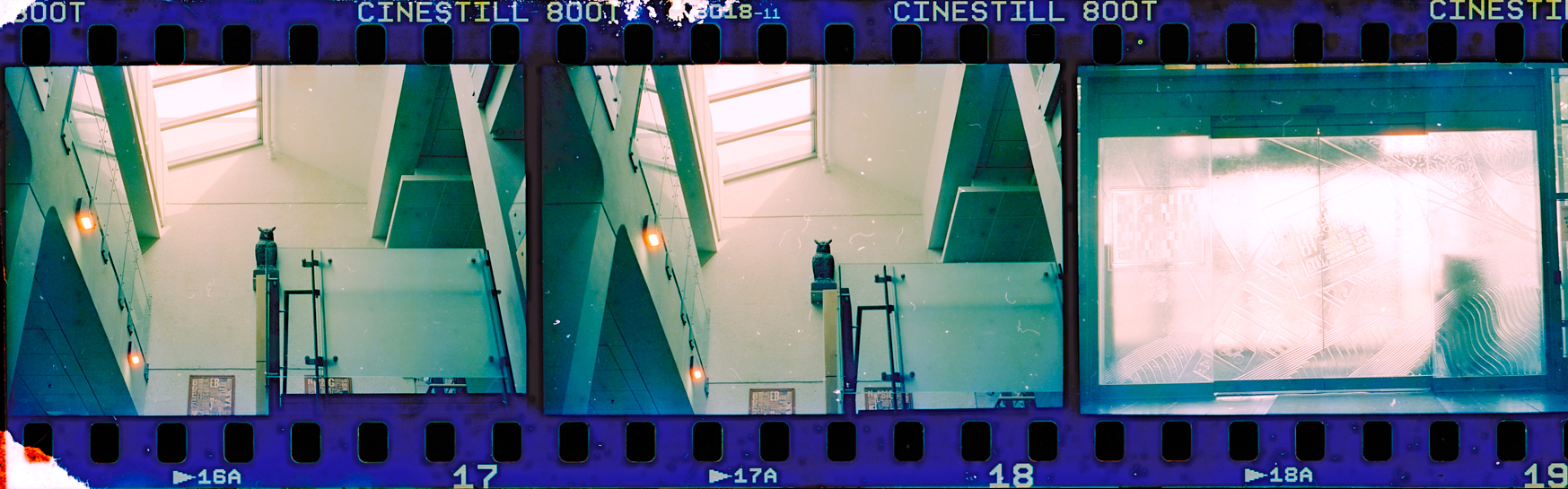 Owl_FullStrip_Sprocket_03.jpg