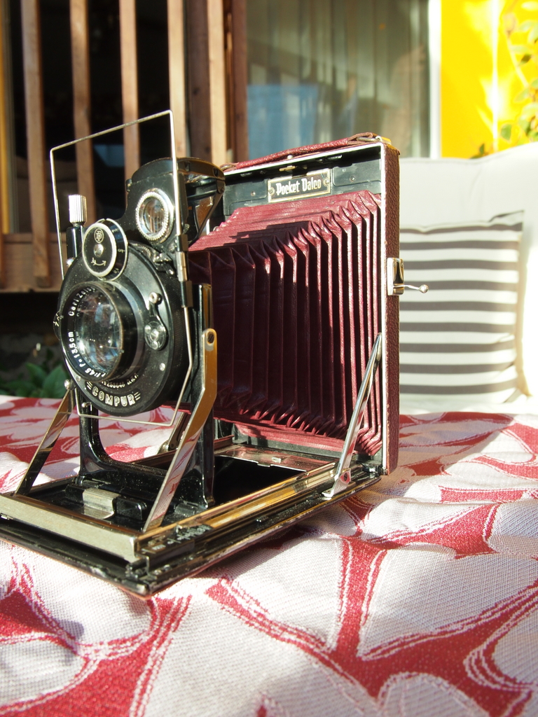 P1010003.JPG