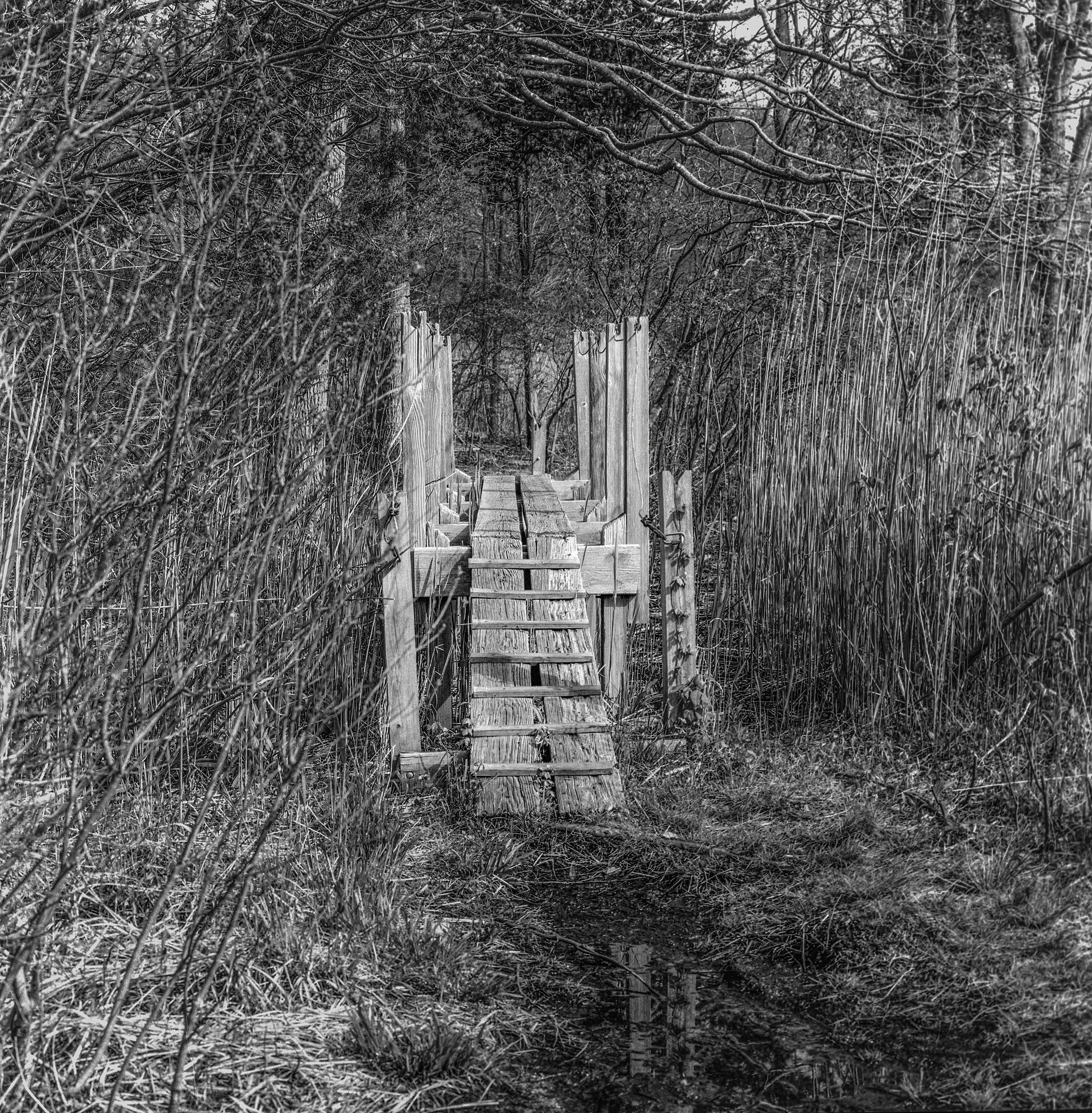 P1022587-Edit copy 2.jpg