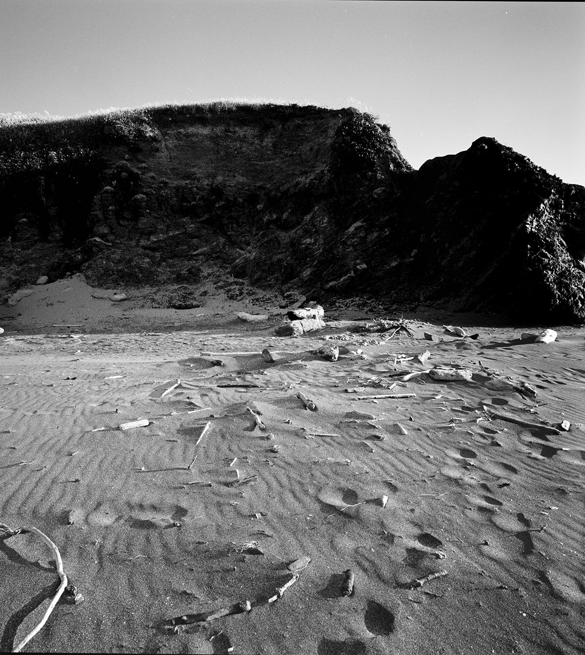 P1023489-B&W copy.jpg