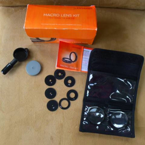 P1040338.JPG