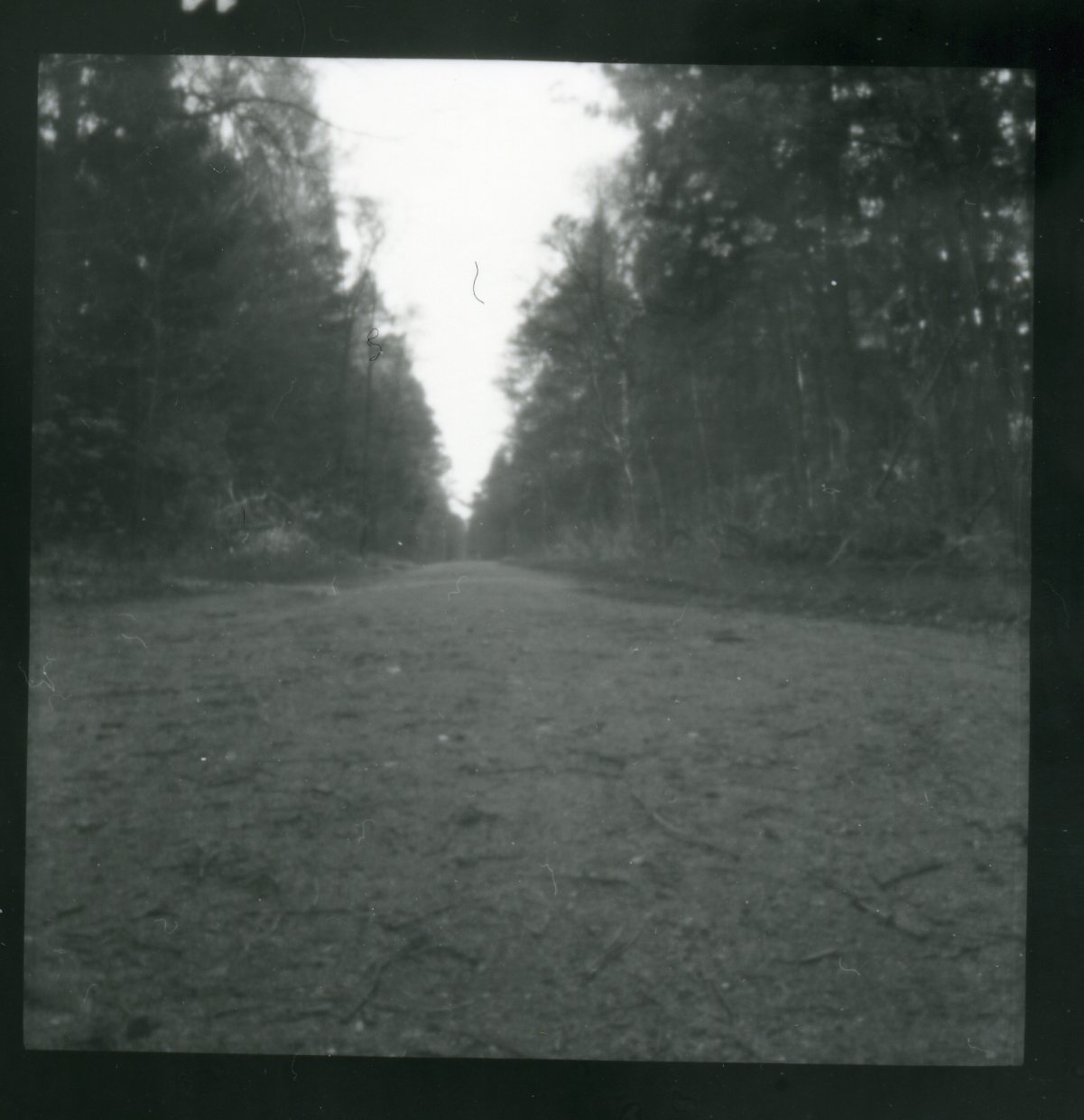 p2.jpg
