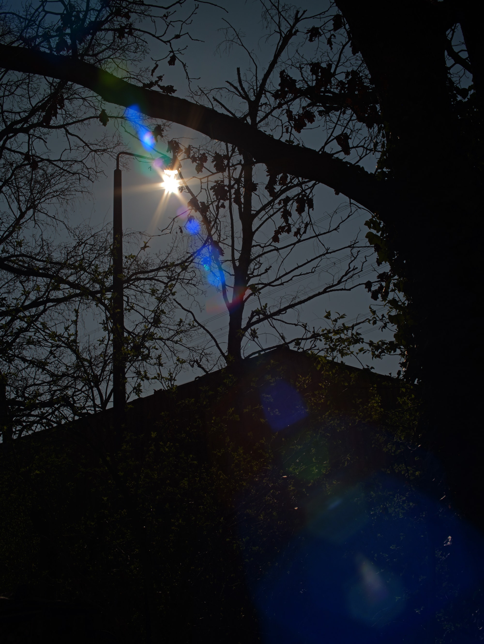 P2499845@0.5x.jpg