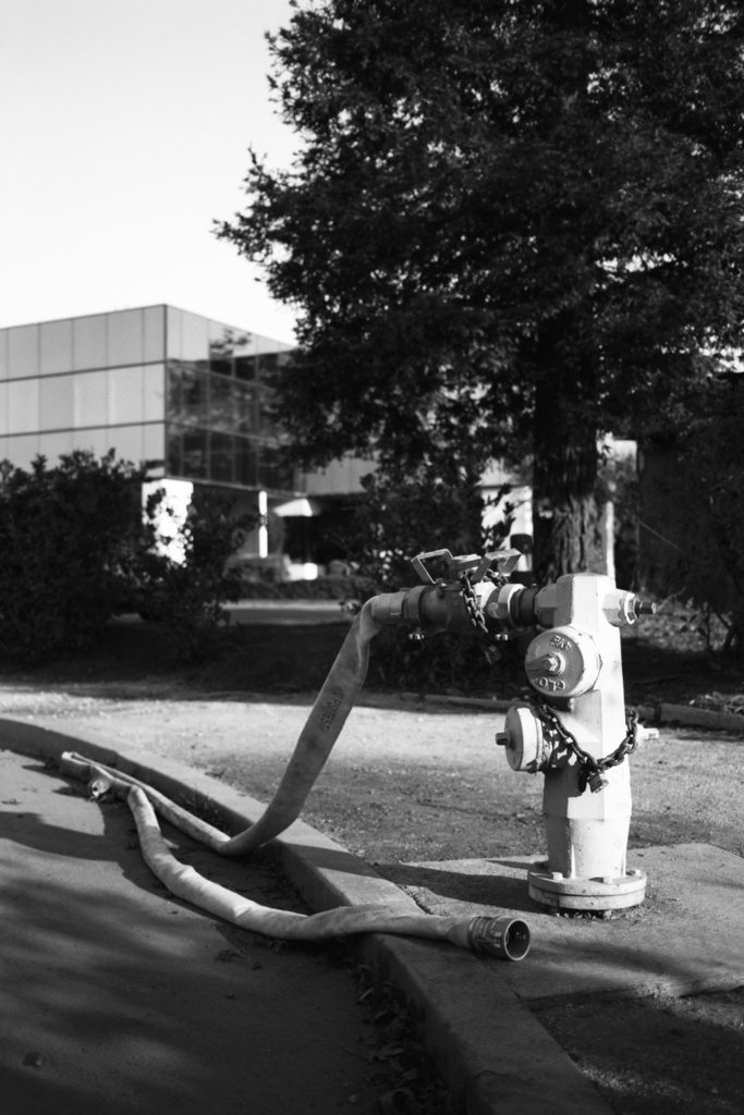 P30_0008.jpg