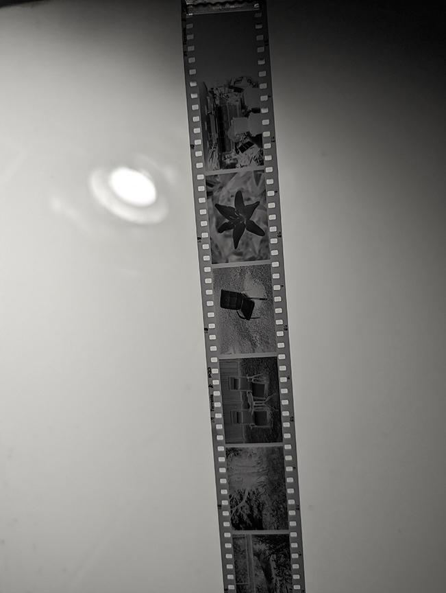 P33_ISO_160_Xtol Stock.jpg