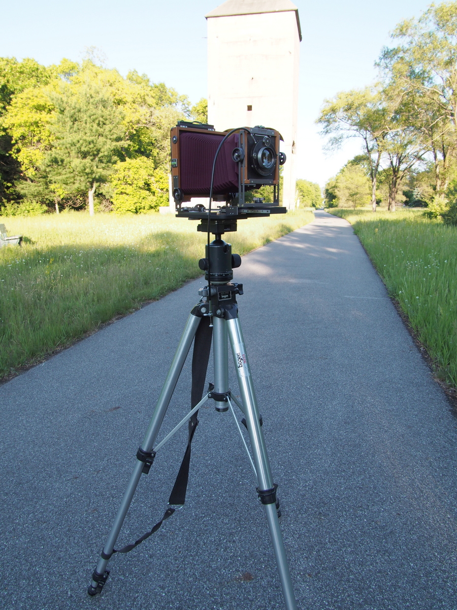 P6110016.jpg