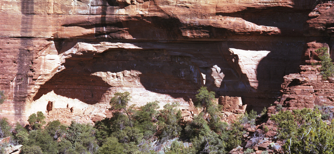 Palatki Ruins   .jpg