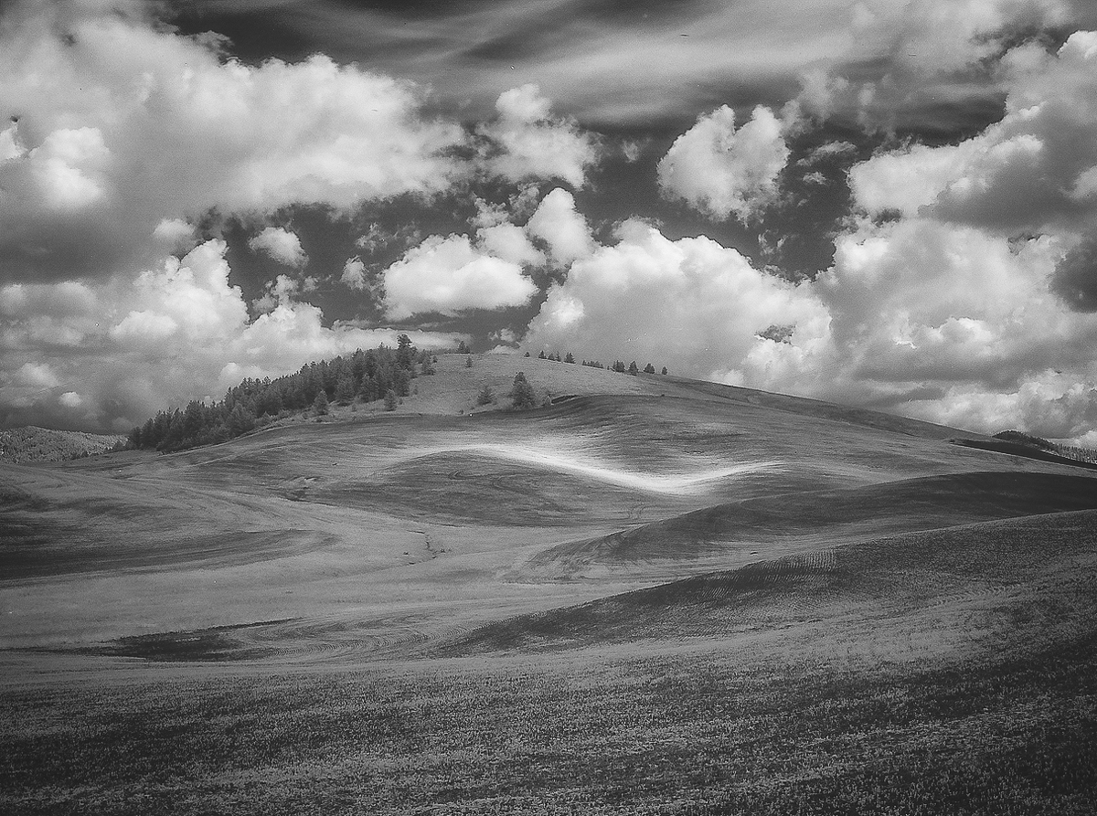 Palouse.jpg