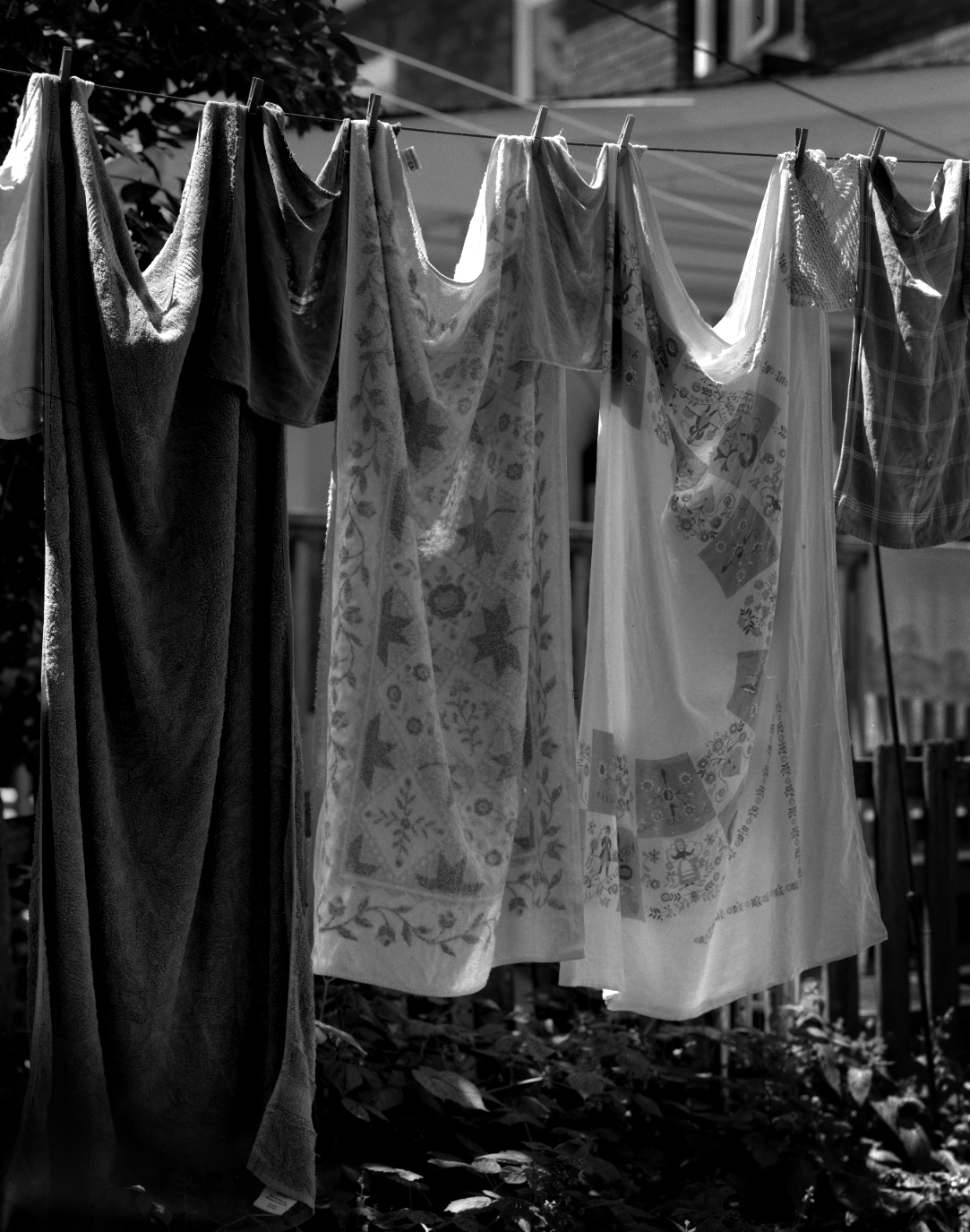 pancro 1-001-mod.jpg