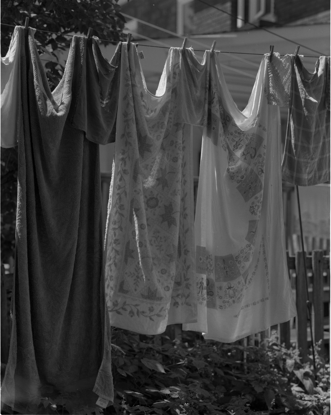 pancro 1-002-mod.jpg