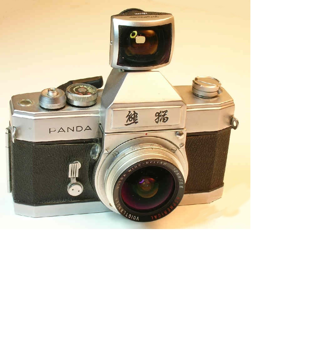 panda12.jpg