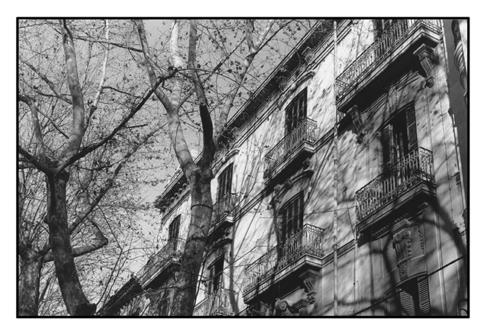 paris in spring.jpg