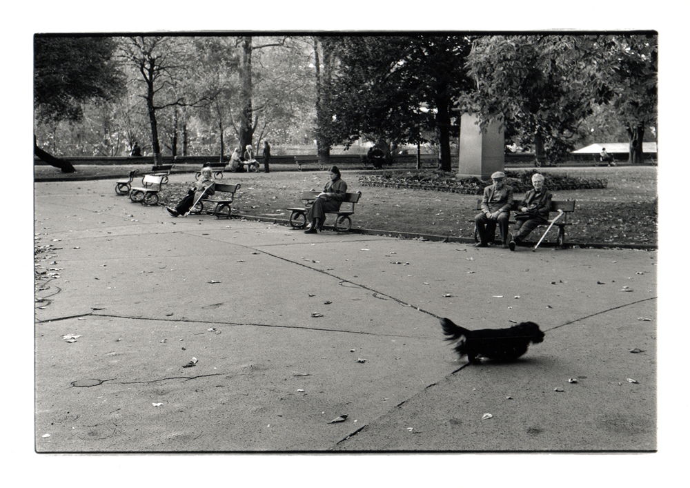 Park - Prague APUG.jpg