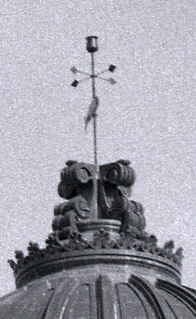 parodinol_100grain.jpg