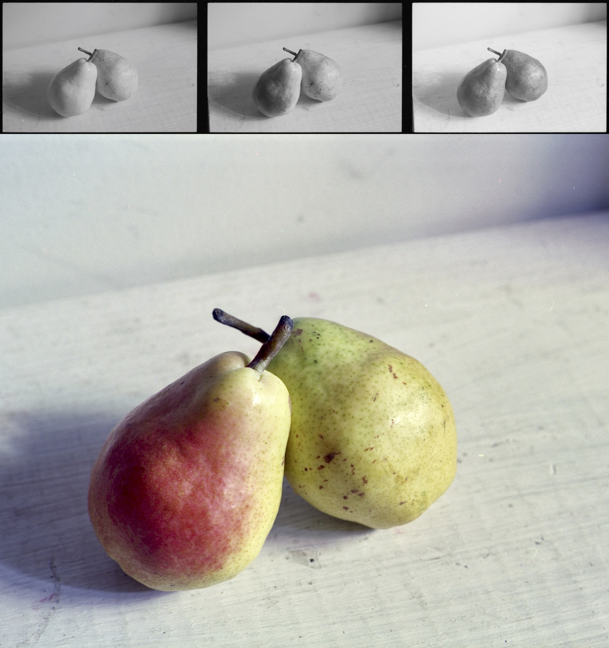 pears_4up (1).jpg