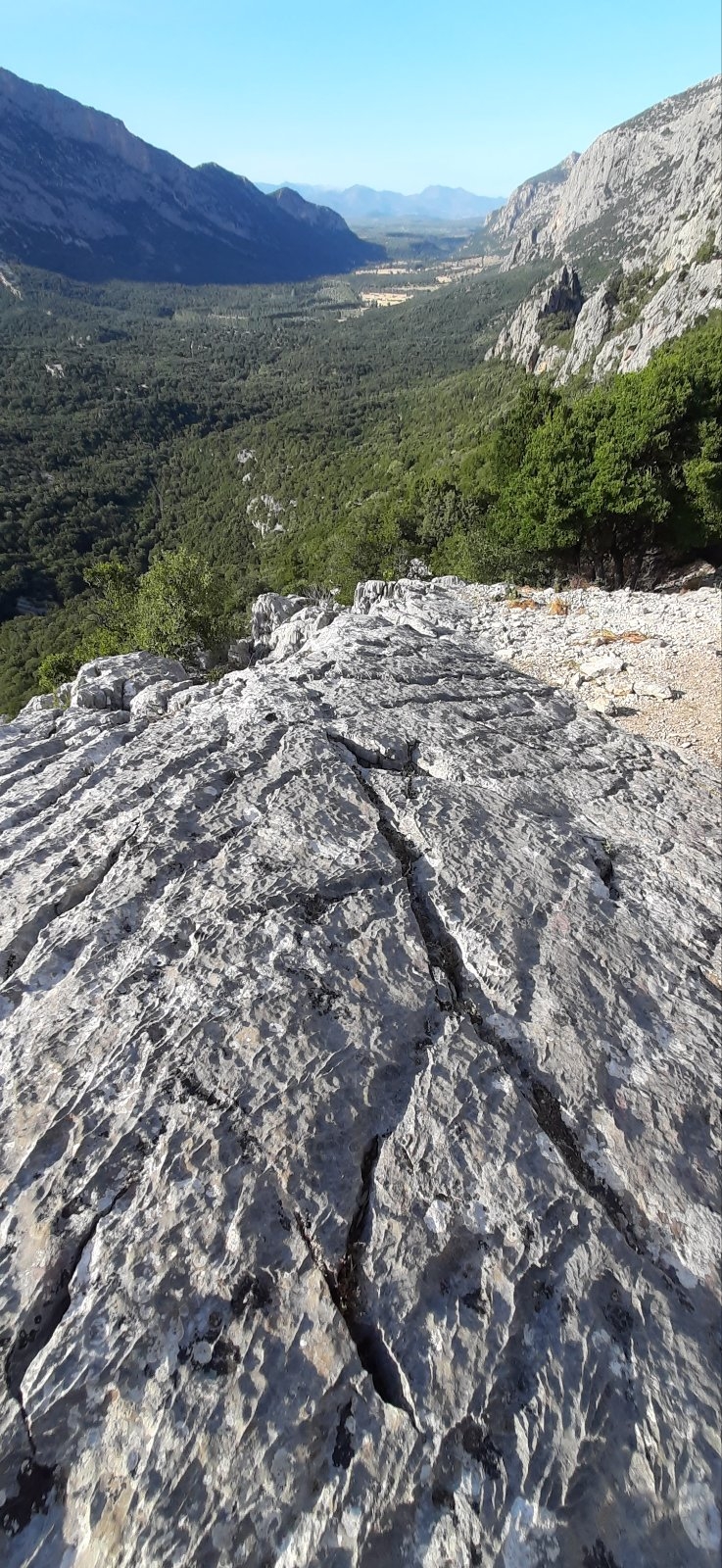 photo.jpg