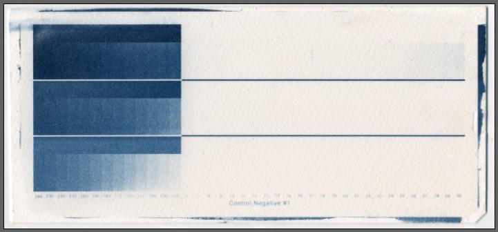 Photrio Test Print 01.jpg