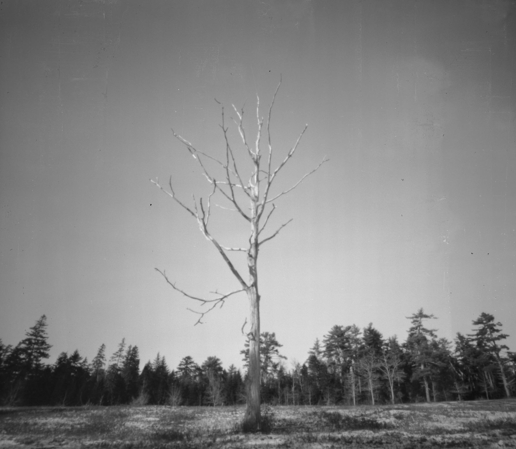 photrioday2-1.jpg
