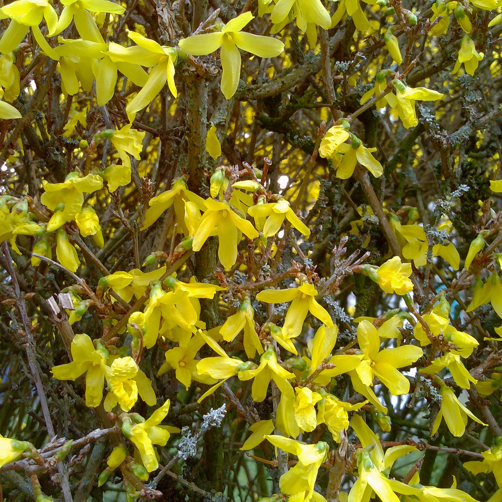 PICT0019.jpg