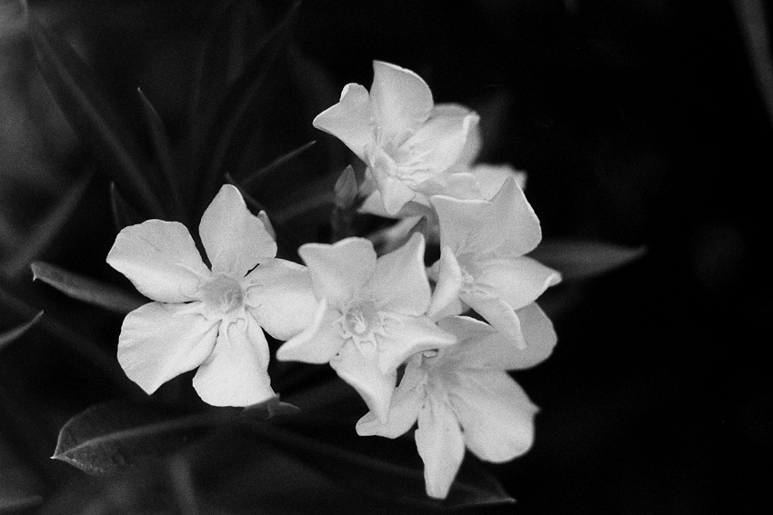 PICT0034.JPG
