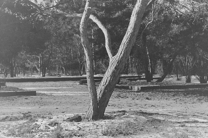 PICT0759.jpg