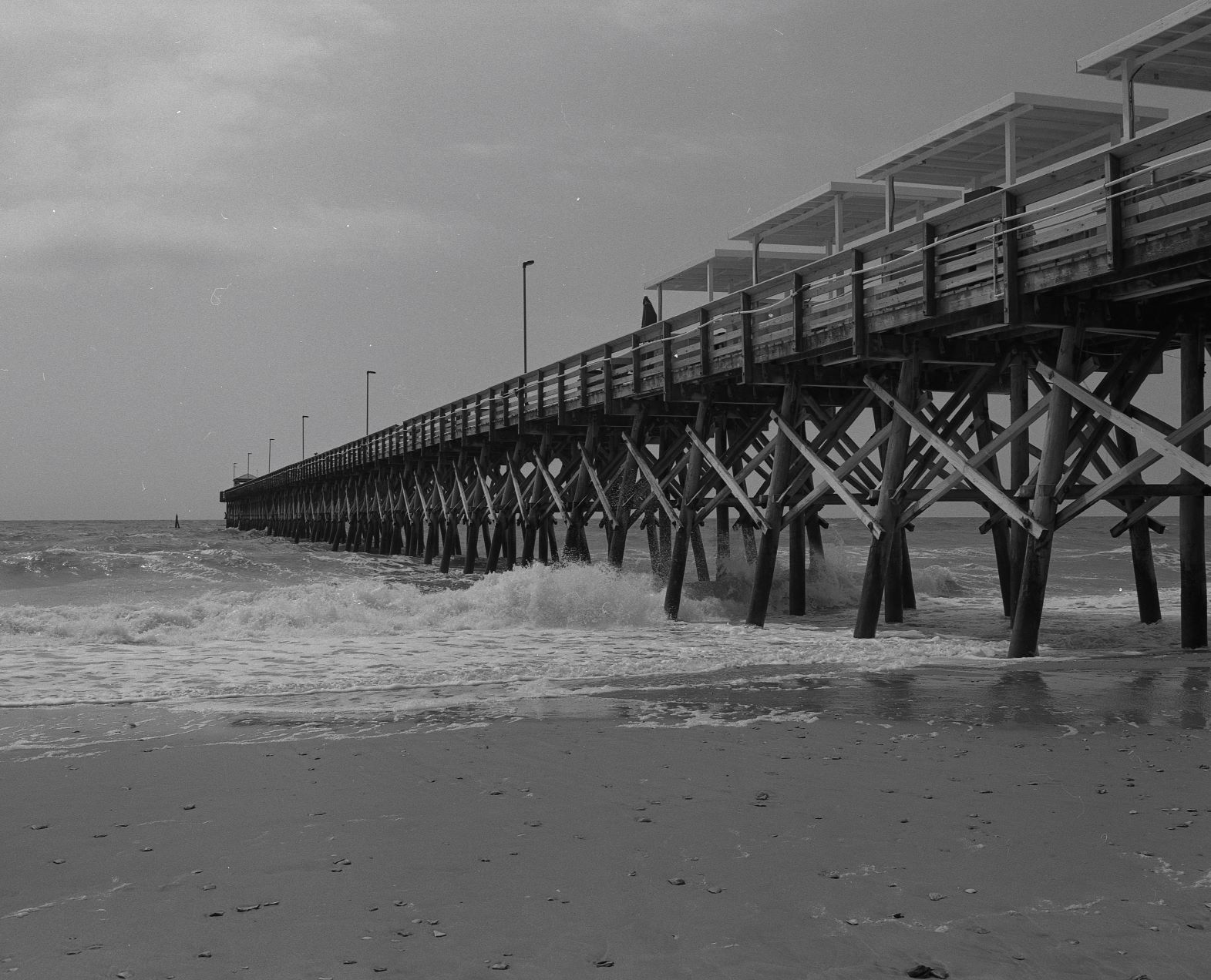 Pier Comp.jpg Pier Comp.jpg
