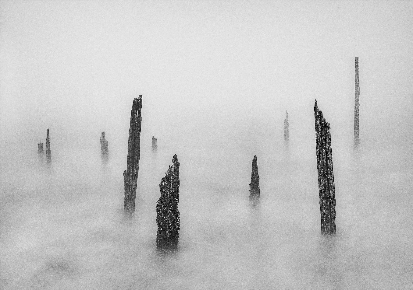Pilings, Lindisfarne d.jpg