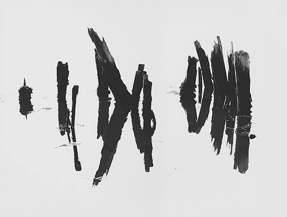 Pilings Maine 2000.jpg