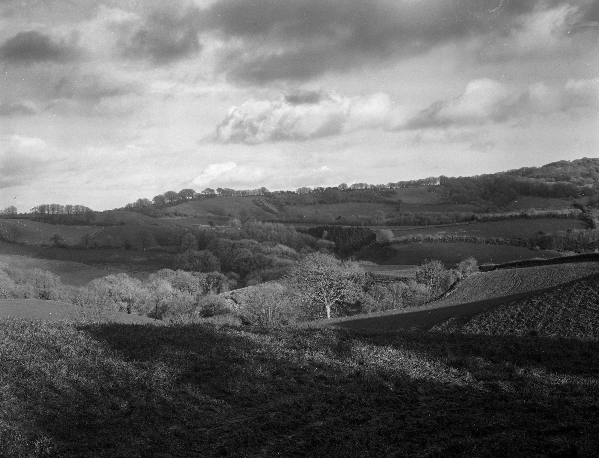 Pilsdon 001 4x5.jpg