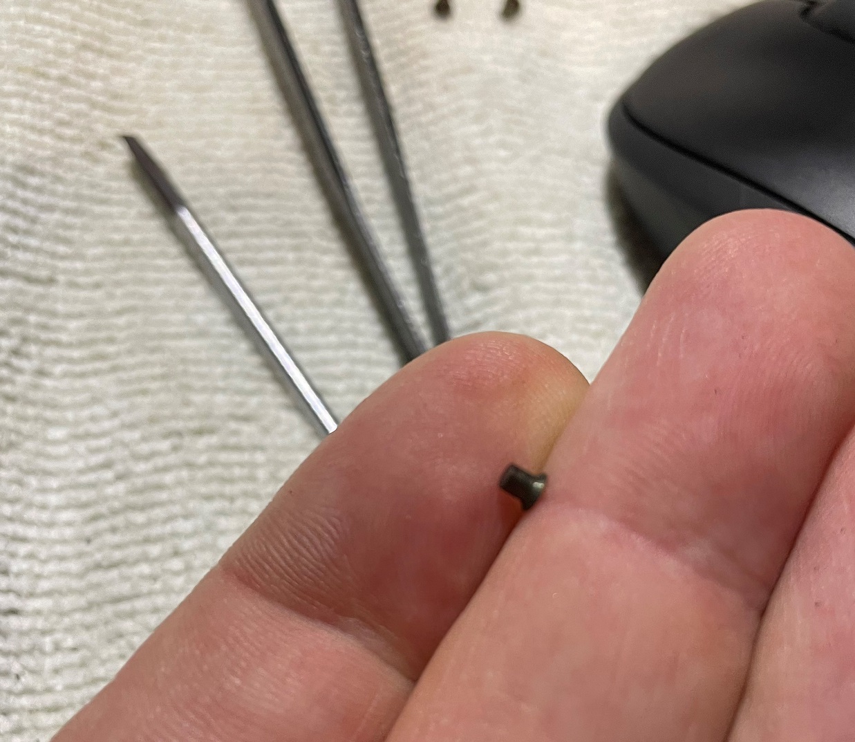 pin.jpg