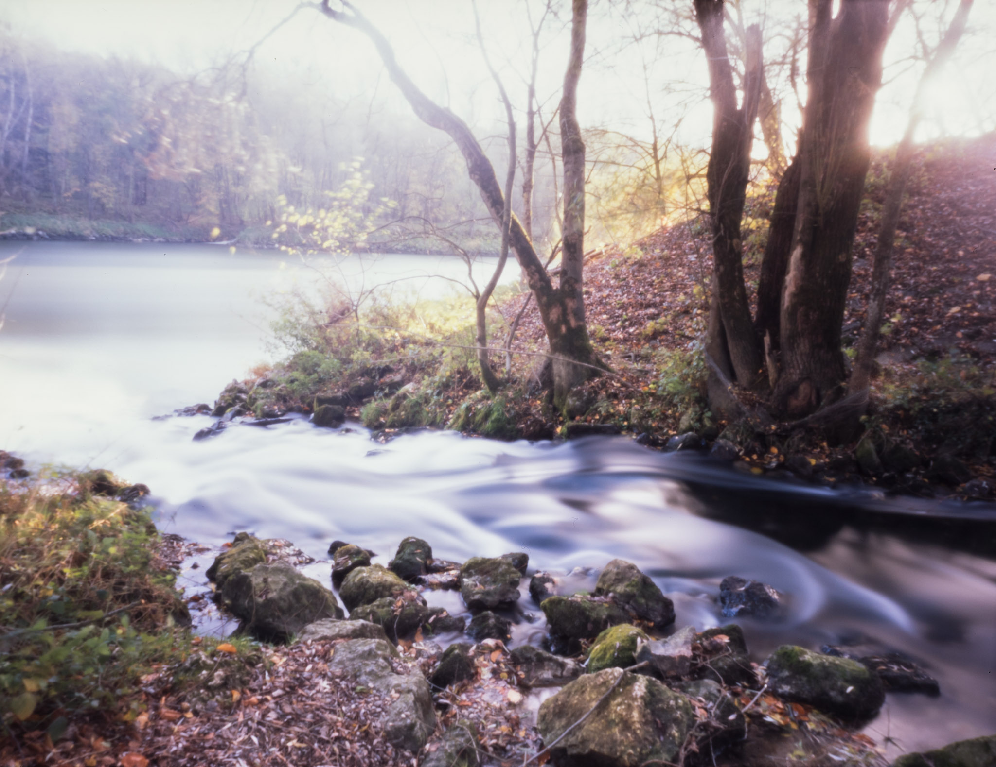pinhole-donau-herbst17-001.jpg