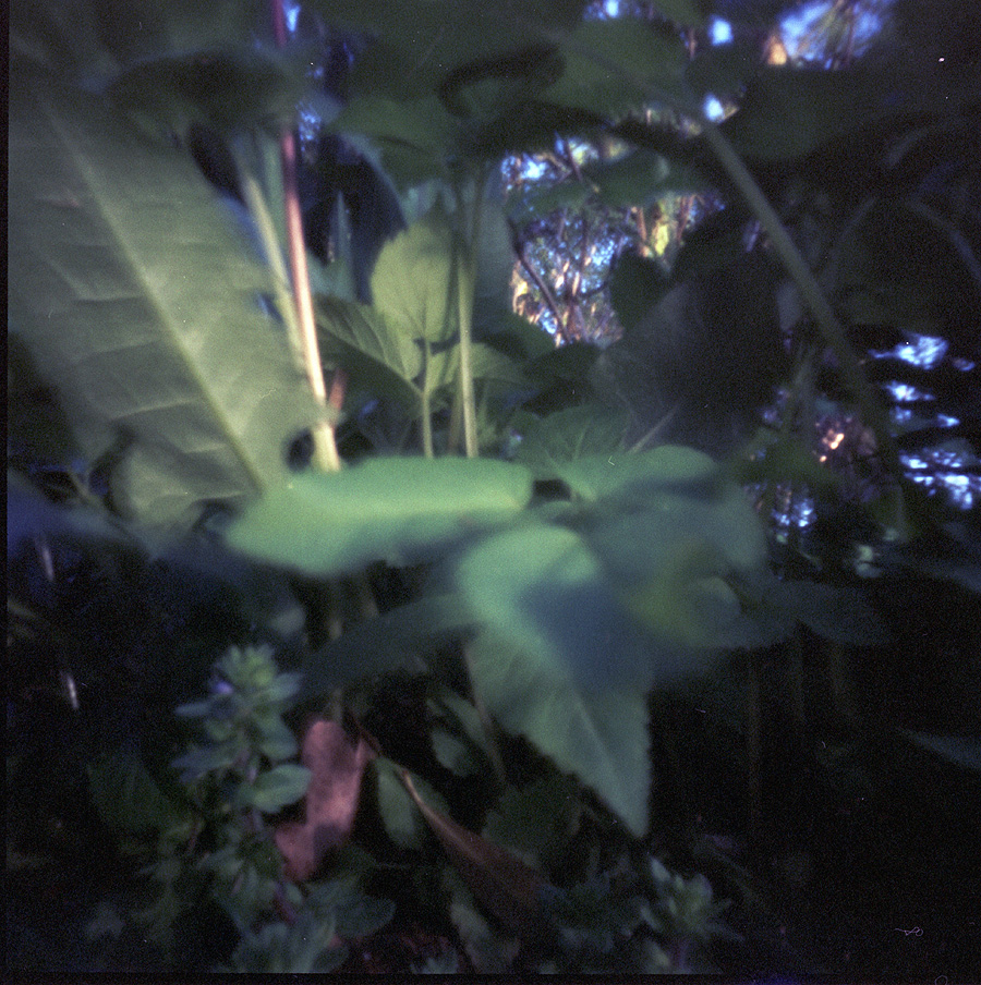 PinHolga-NPC160-02-WEB.jpg