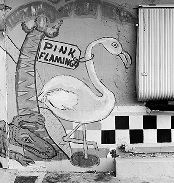 pink-flamingo.jpg