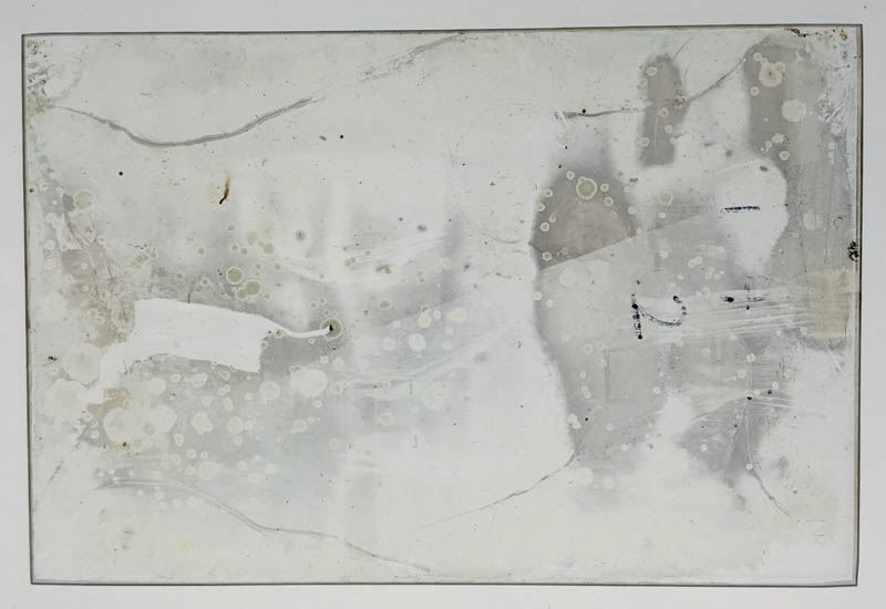 Plate 02 All Neg.jpg