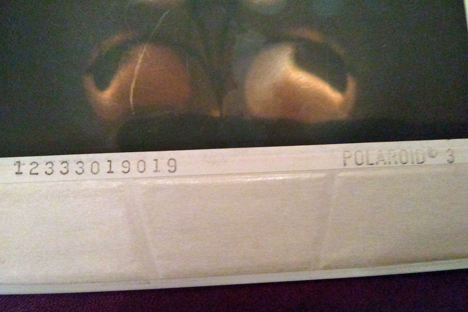 Polaroid 2.jpg