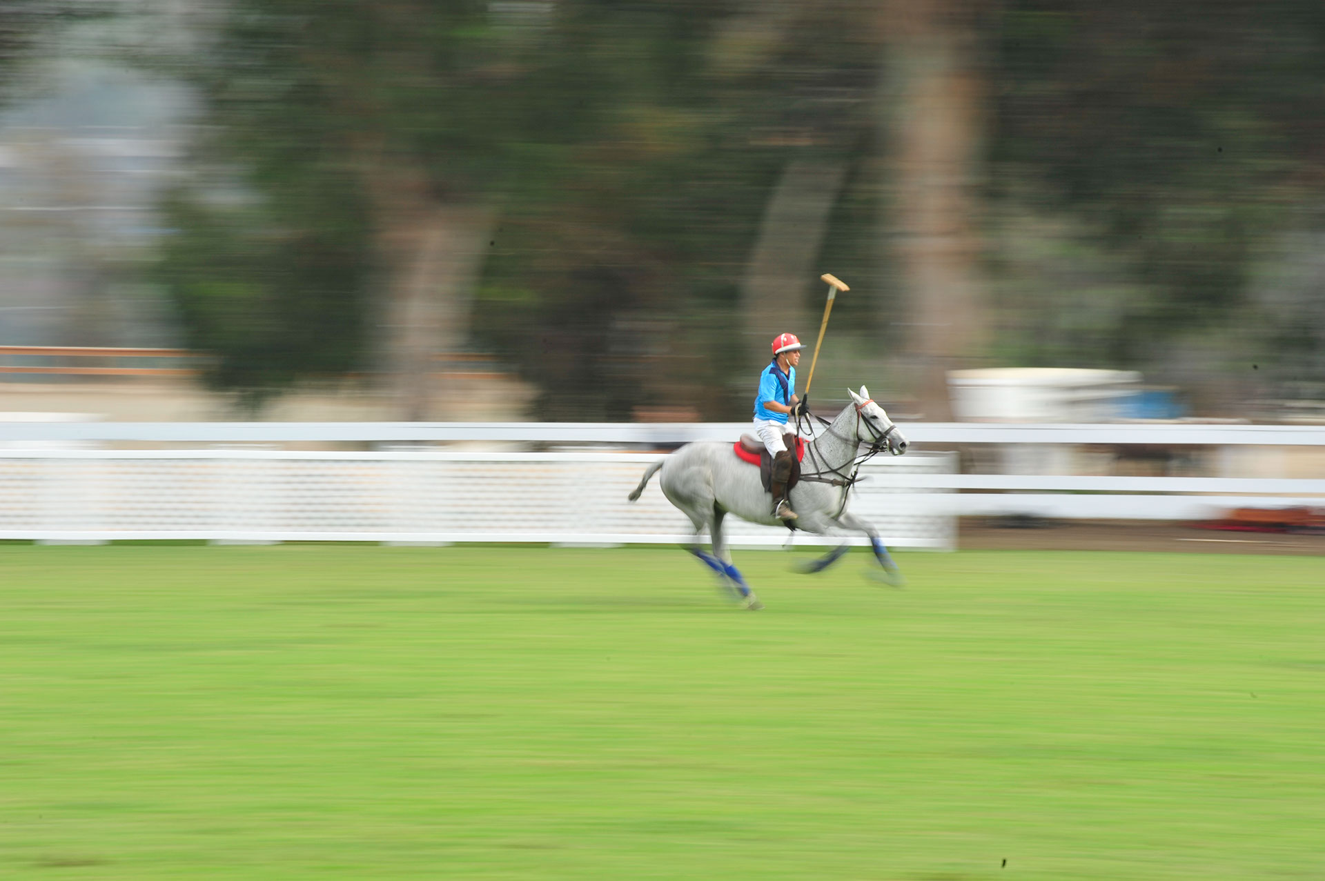 polo action.jpeg