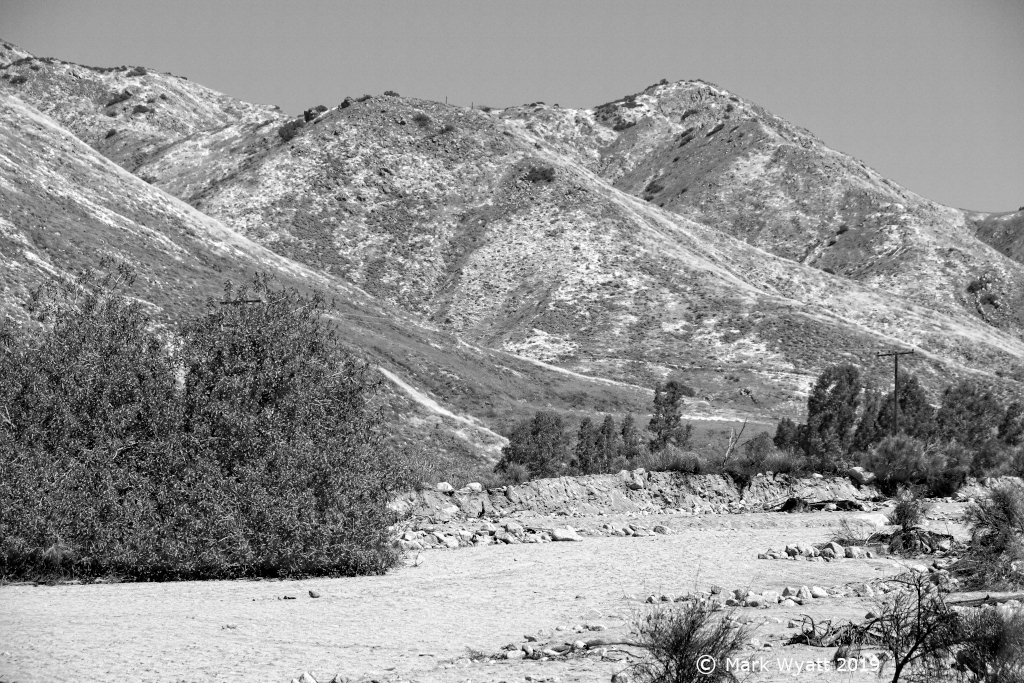 PoppyCoveredHill_riverbedcontrast1k.jpg