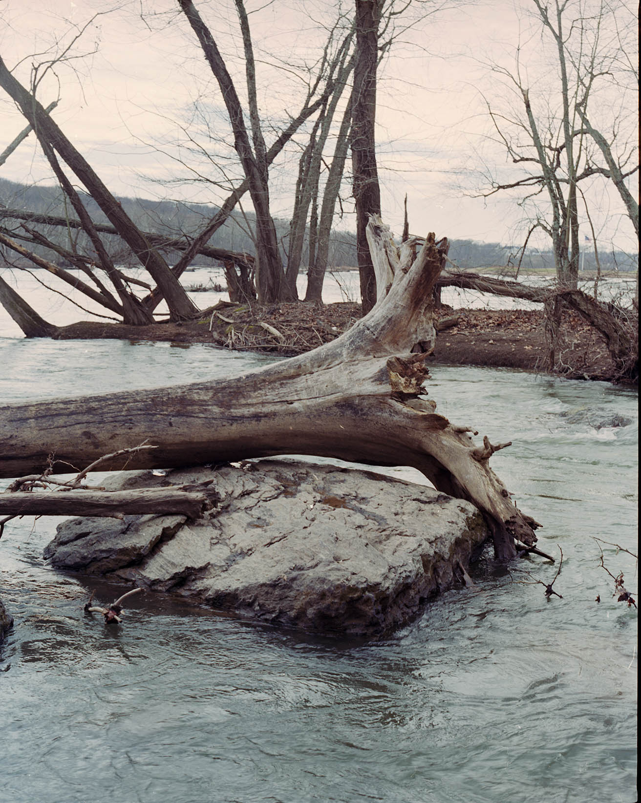 Potomac - Negafix.jpg