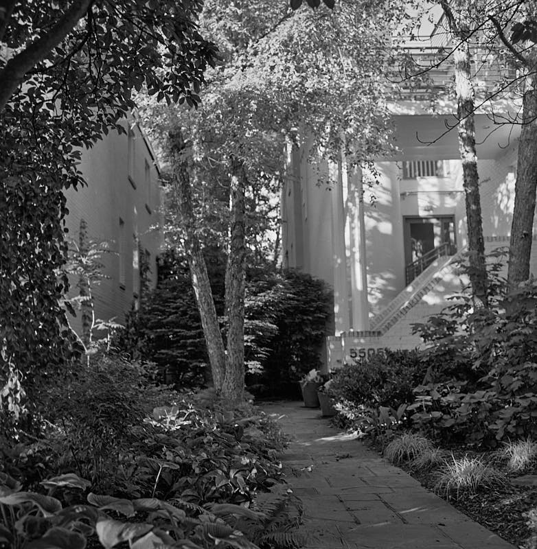 PotomacStreetGarden.jpg