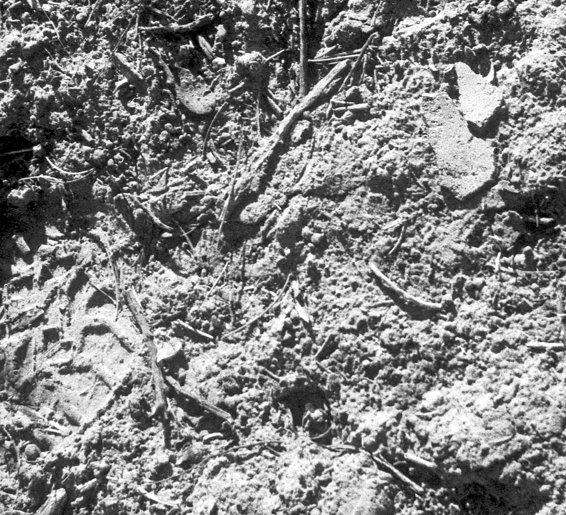 PotShards -Traces of People Exposed  - PotShards .jpg