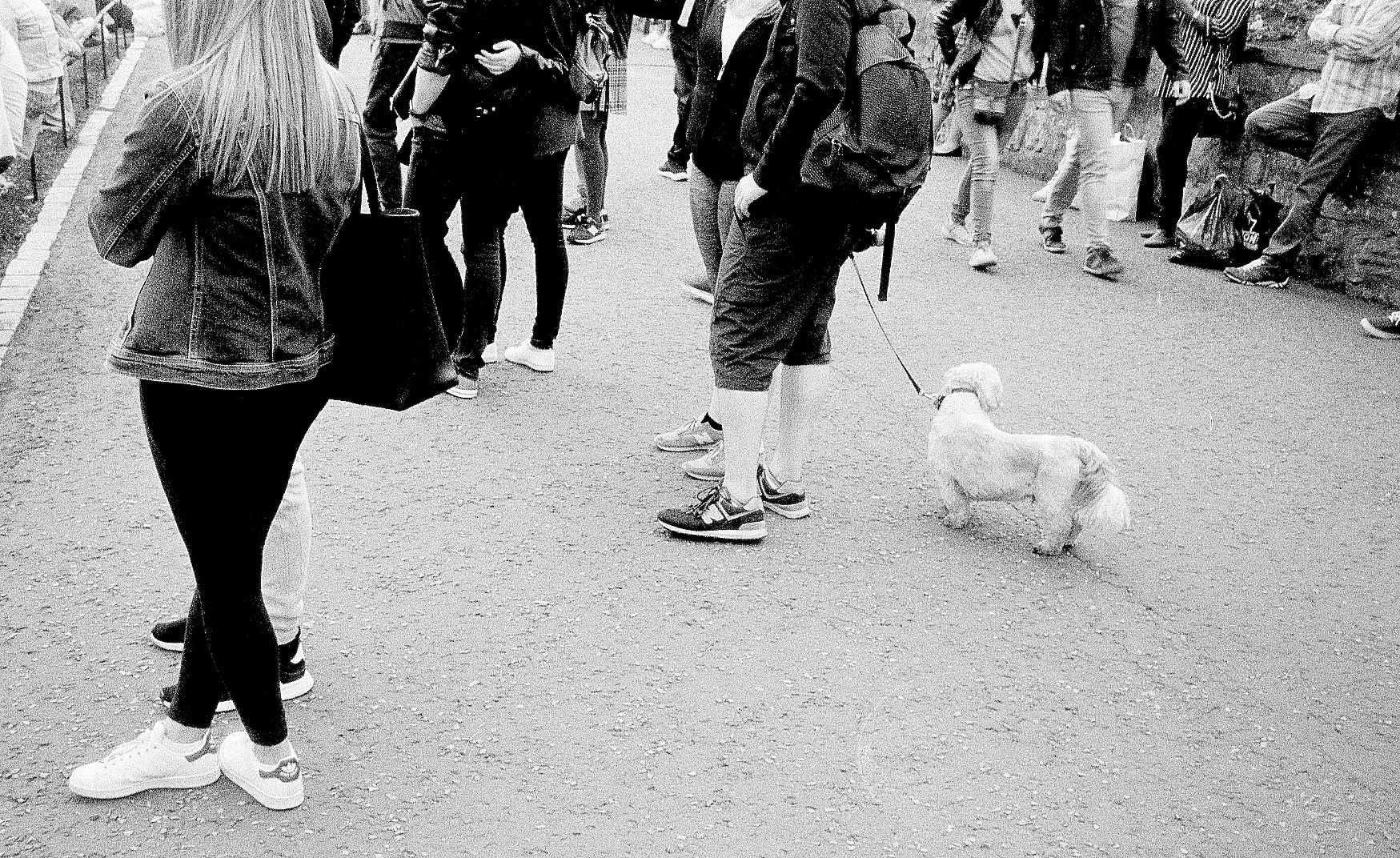 Princes St Moments 2 NQ.jpg